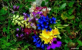 Köyümüz